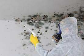 Best Crawl Space Mold Remediation  in Wilmington, NC